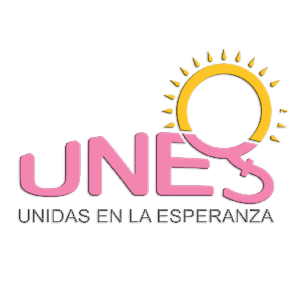 UNES Logo